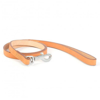 Ancol Heritage Leather Lead Tan 19mm X1m